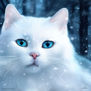 Gato blanco bajo la nieve