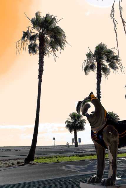 Perro paseando