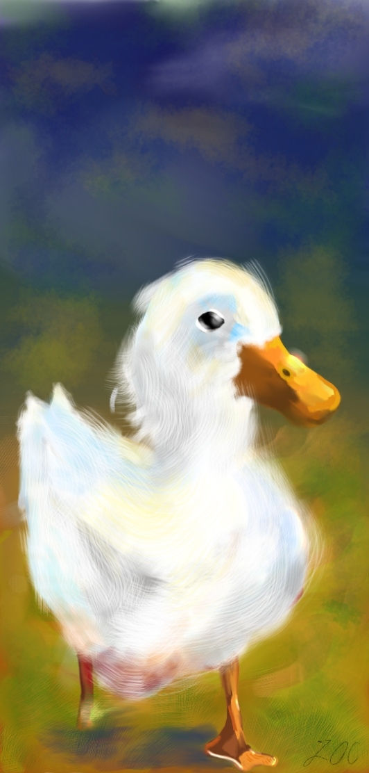 PATO