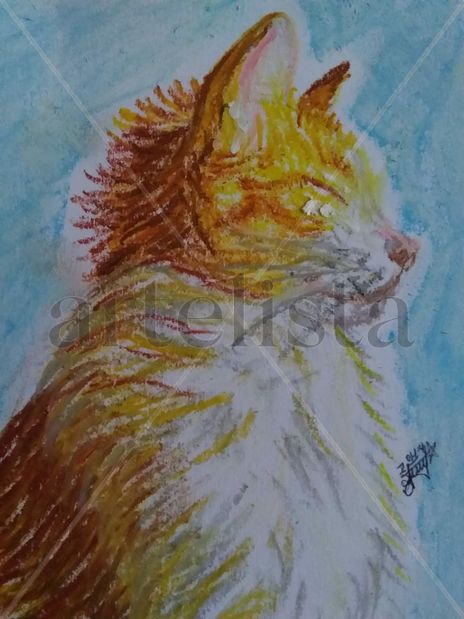 Orange cat