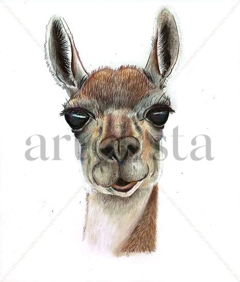 Lama guanicoe Pencil