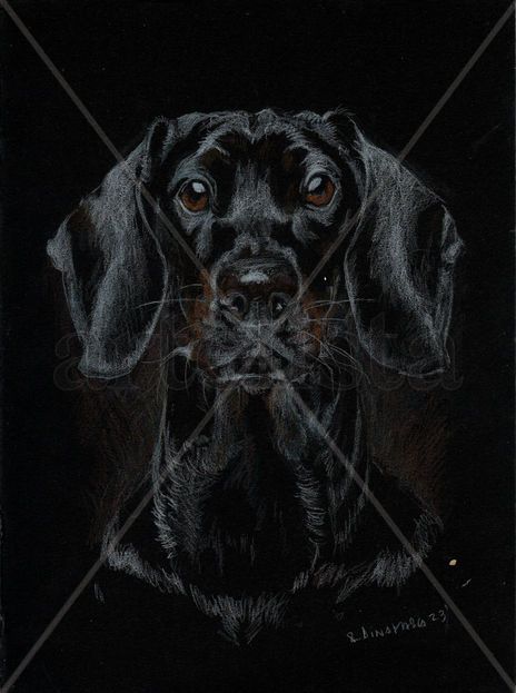 Retrato de perro