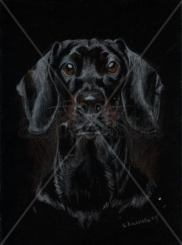 Retrato de perro