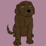 ANIMALES thumbnail 2