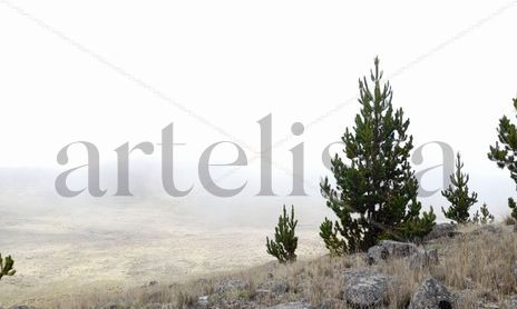 Paisaje