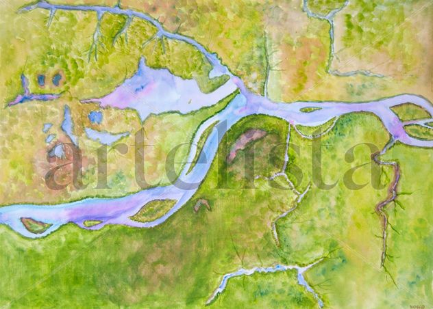 Vista aérea del Río Amazonas (Maracapuru)