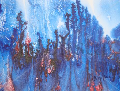Bosque misterioso
