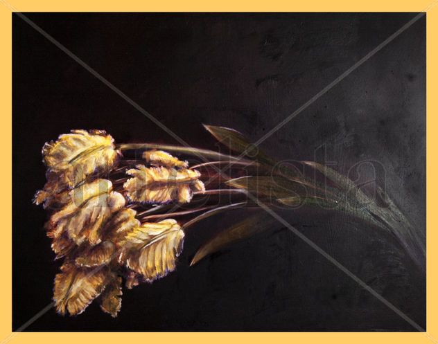 Homenaje a Robert Mapplethorpe