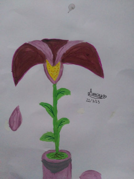 Flor