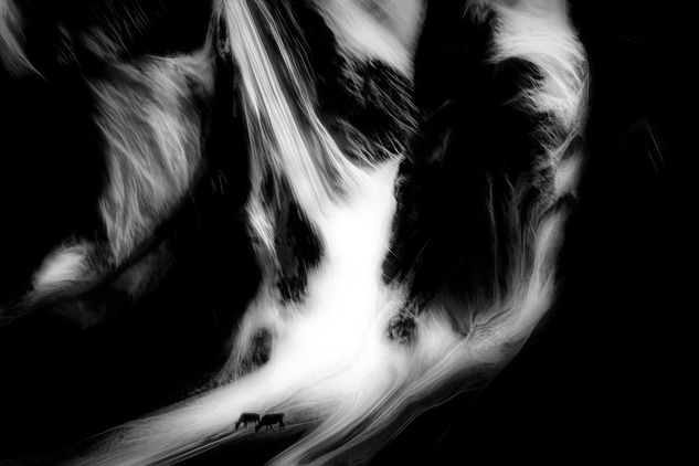 1511 Conceptual/Abstracto Blanco y Negro (Digital)