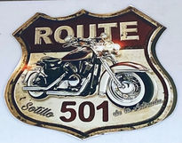 Ruta 501