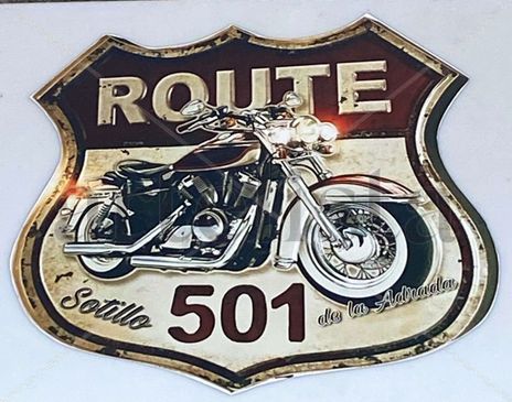 Ruta 501