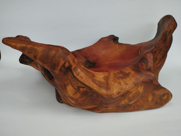 La mano de la tierra Wood Figurative