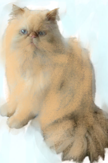 Gato juguetón