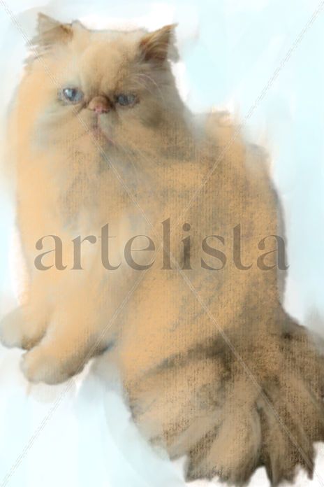 Gato juguetón