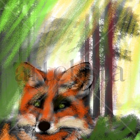Zorro en el bosque