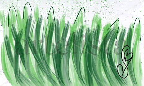 Paisaje