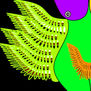 ANGEL 06