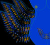 ANGEL 08