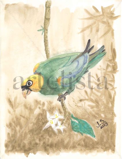 Amazona Ochrocephala Watercolour Paper Animals