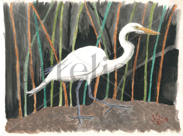 Ardea Alba