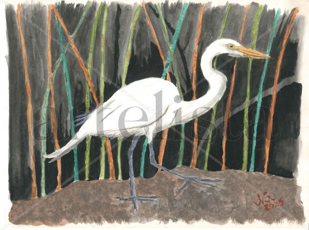 Ardea Alba Acuarela Papel Animales