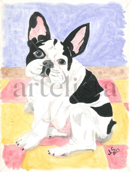 Boxer Frances French boxer Acuarela Papel Animales