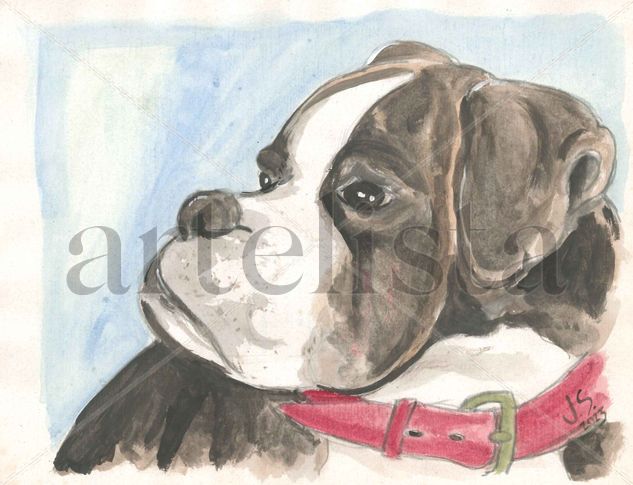 Boxer Acuarela Papel Animales