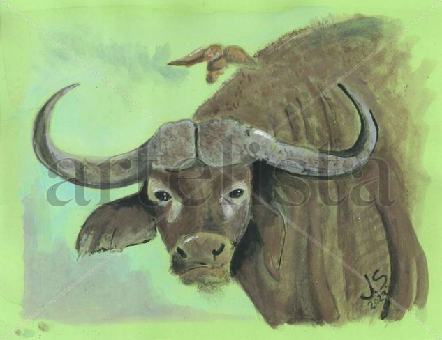 Bufalo  Buffalo Watercolour Card Animals