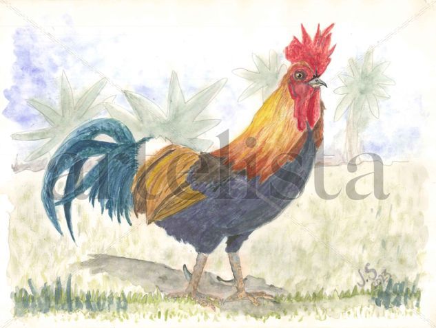 Gallus Gallus Domesticus Watercolour Paper Animals