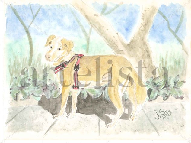 Lui un perrito simpatico Watercolour Paper Animals