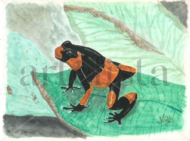 Oophaga Lehmanni Watercolour Paper Animals