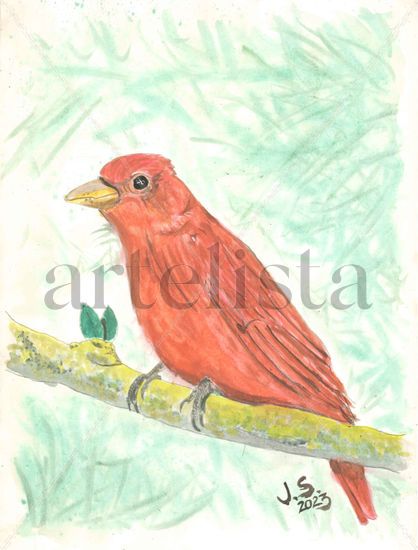 Summer Tanager Watercolour Paper Animals