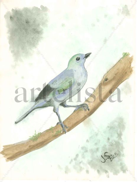 Thraupis Palmarum