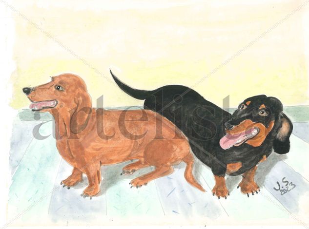 Toya y Matea. Watercolour Paper Animals