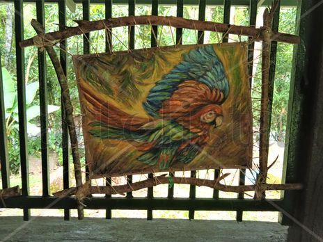 Guacamaya en vuelo