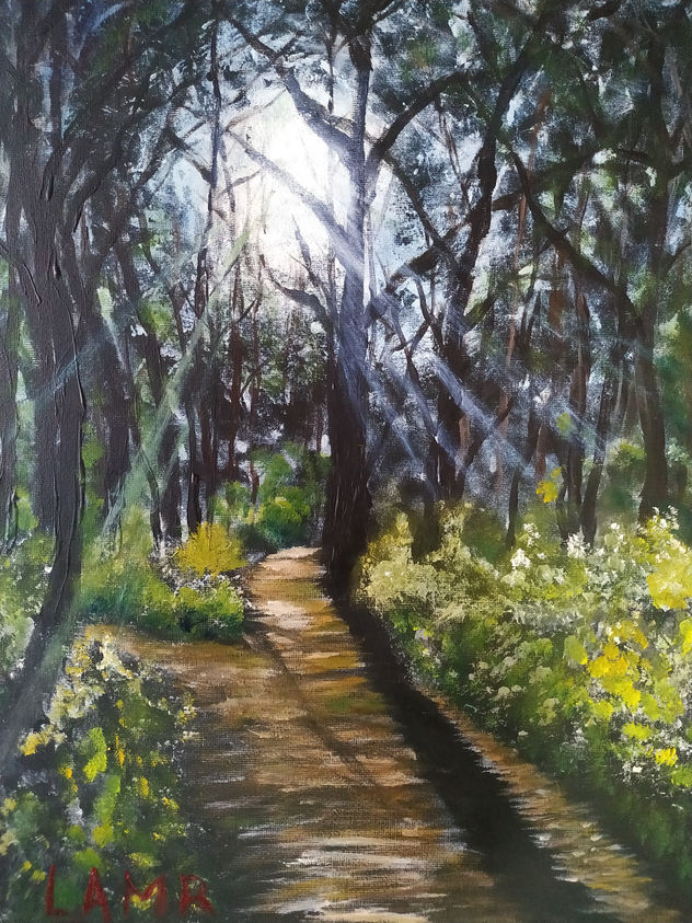 PASEO POR EL BOSQUE
