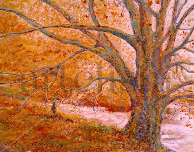 Paseo rodeado de otoño