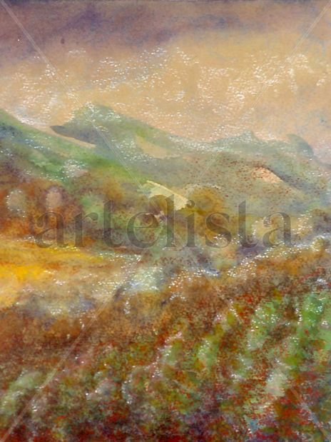 Bosque y montaña