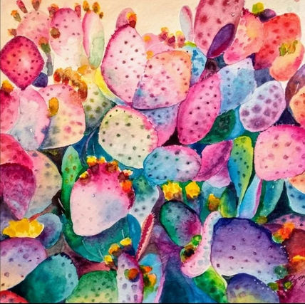 Cactus rosa