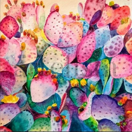 Cactus rosa