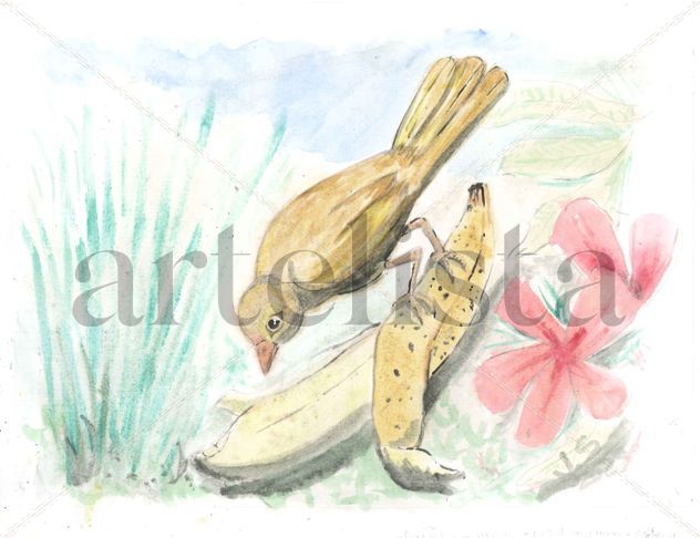 pajaro con fruta. Bird and fruit