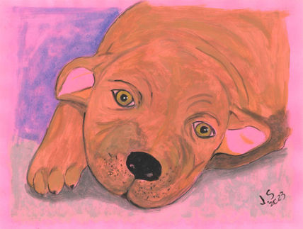 Cachorro puppy