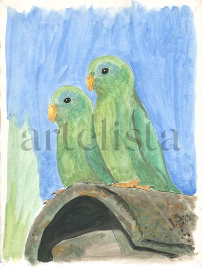 Forpus Conspicillatus Watercolour Paper Animals