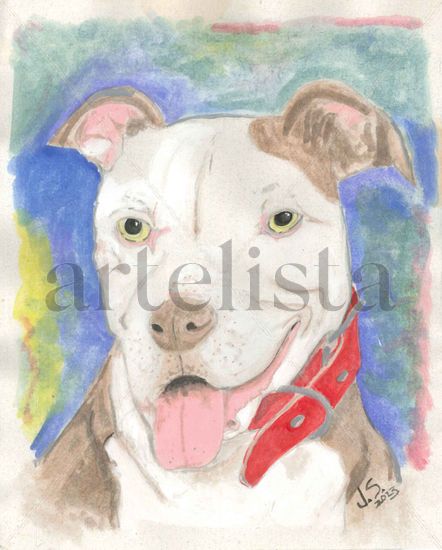 Pit Bull Watercolour Card Animals