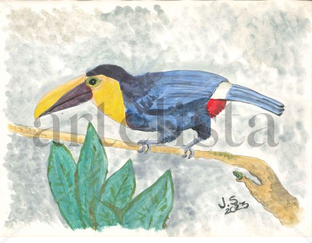 Ramphastos Ambiguus Acuarela Papel Animales