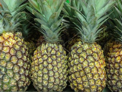 Piñas Pineapple