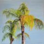 Palm tree with long hair