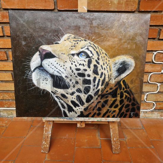 Leopardo observante Oil Canvas Animals