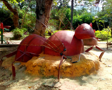 Hormiga Culona